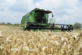 ziarno żniwa zboże rolnictwo pap BIG