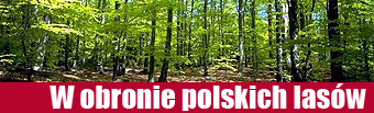 http://www.radiomaryja.pl/wp-content/uploads/2014/01/w-obronie-polskich-lasow.jpg