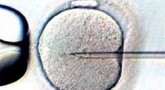 In vitro jest niebezpieczne dla ludzkości