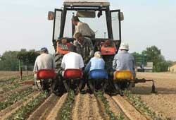 Agencja restrukturyzacji zalesienia 2009 renty strukturalne