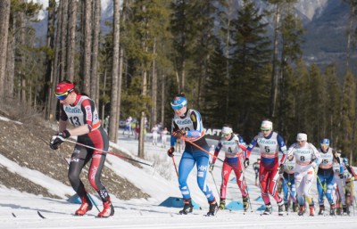 Cross Country Skiing World Cup