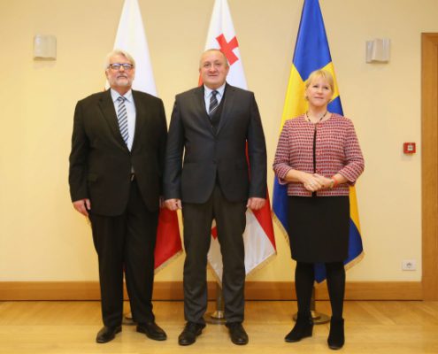 Witold Waszczykowski, Margot Wallstrom, Giorgi Margwelaszwili