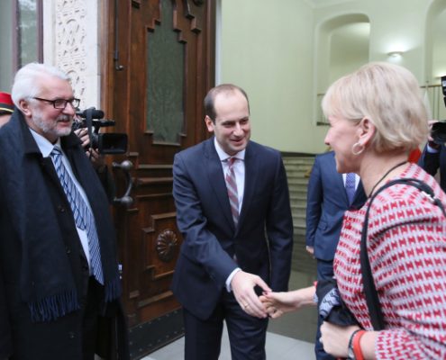Witold Waszczykowski, Margot Wallstrom, Micheil D¿anelidze
