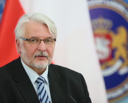 Witold Waszczykowski, Margot Wallstrom, Micheil D¿anelidze