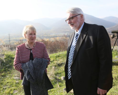 Witold Waszczykowski, Margot Wallstrom