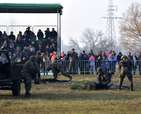 Piknik Służymy niepodległej w Toruniu (17)