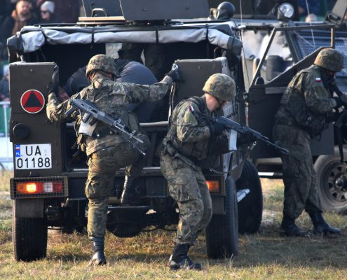Piknik Służymy niepodległej w Toruniu (18)