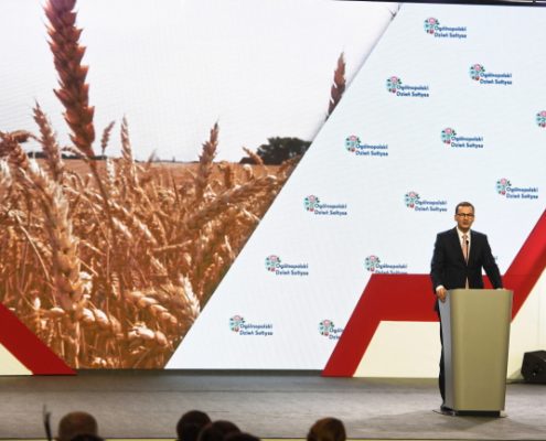 Obchody Ogólnopolskiego Dnia Sołtysa w Łowiczu (11)