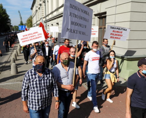 Warszawa Protest przeciwko projektowi dotyczącemu zmian w ustawie o ochronie zwierząt (1)