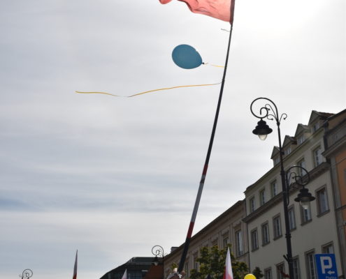 XV Marsz dla Życia i Rodziny w Warszawie (42)