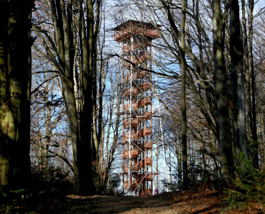 Wieża widokowa na szczycie Jeleniowatego w okolicy Mucznego w Bieszczadach (6)