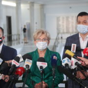Jan Strze¿ek, Andrzej Gut-Mostowy, Iwona Micha³ek