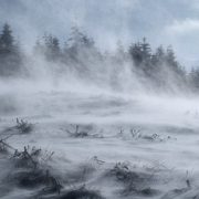 zima góry las śnieg