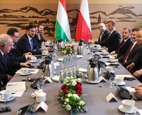 Andrzej Duda, Tamas Sulyok