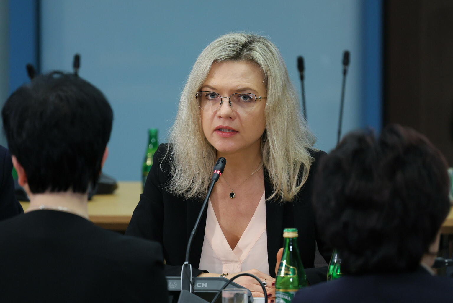 M. Wassermann o sytuacji wokół Sądu Najwyższego: Za ten ...