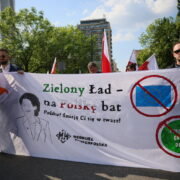 zielony ład