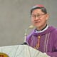 kard. Tagle